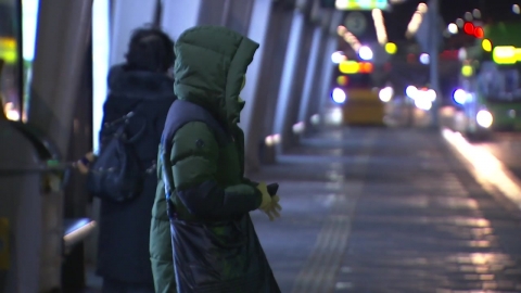 [날씨] 서울 첫 영하권…가을 은행잎 사이 겨울 추위 절정