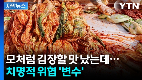 [자막뉴스] 모처럼 김장할 맛 났는데...치명적 위협 '변수'