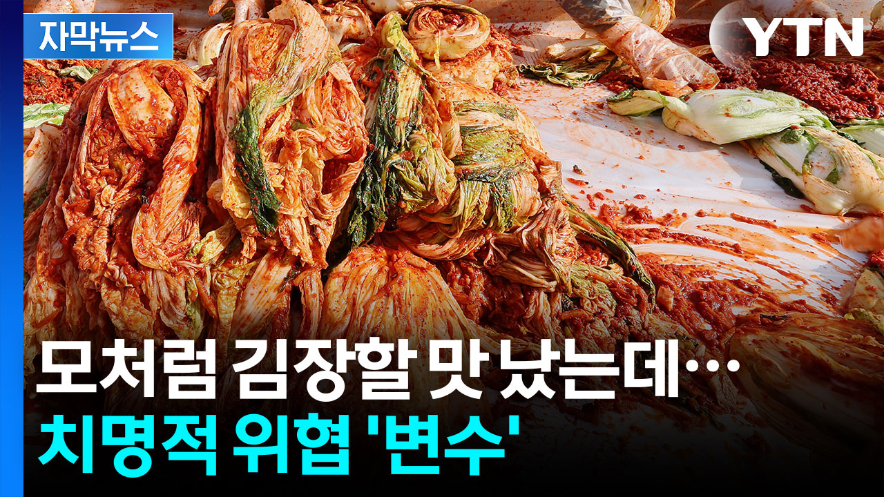 [자막뉴스] 모처럼 김장할 맛 났는데...치명적 위협 '변수'