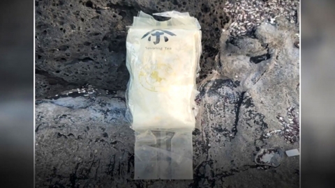 제주도에서 발견된 \'버닝썬 마약\'...마음만 먹으면 구할 수 있다? [Y녹취록]