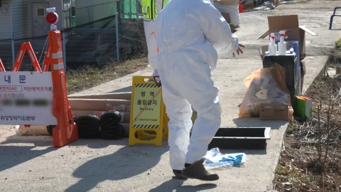 충북 영동 가금 농가 고병원성 AI…충북 첫 사례