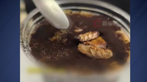 [나우쇼츠] 바퀴벌레 커피가 9,000원?…이색 곤충 커피