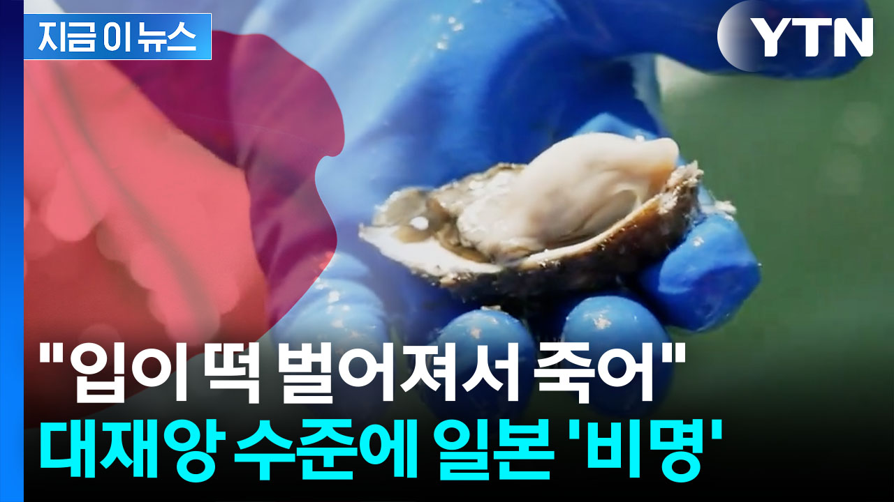 "60년 만 초유의 상황"...대재앙급 대란에 발칵 뒤집힌 일본 [지금이뉴스]