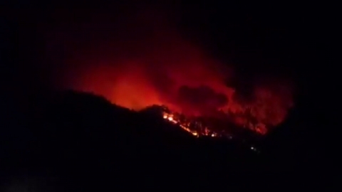 강원 인제 산불 대응 1단계 발령...진화율 41%