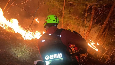  산림청 "강원 인제 산불, 주불 진화 완료"