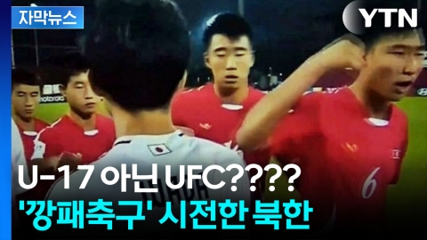 [자막뉴스] 경기 시작부터 주먹질..."징계해야" 북한 비매너 도마 위