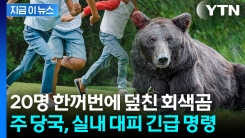 "이 곰은 절대 찾으러 나서지 마라" 캐나다 원주민 공동체의 섬뜩한 경고 [지금이뉴스]
