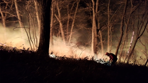  산림청 "강원 양양 산불, 대응 1단계 발령"