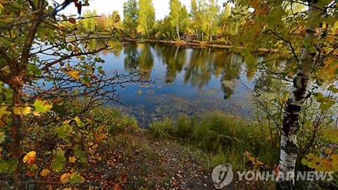 "껌 씹던 석기시대 10대 소녀"...에스토니아서 흔적 발견