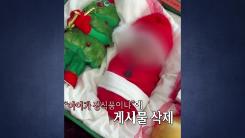 "아기가 장식품?" 논란…이시영, 게시글 삭제 [앵커리포트]