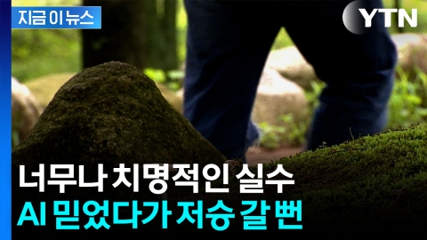 믿고 버섯 먹었다가...치명적 실수 저지른 AI [지금이뉴스] 