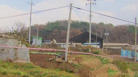 충남 당진 아프리카돼지열병 발생…위기 경보 \'심각\'