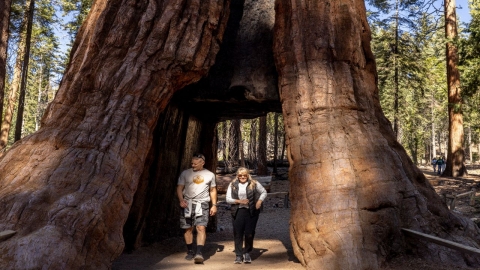 내년부터 미 국립공원 방문하는 외국인은 내국인보다 비싼 입장료
