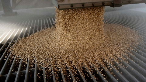 중, 미중 정상 통화 후 미국 대두 추가 구매...4,400억 원 규모