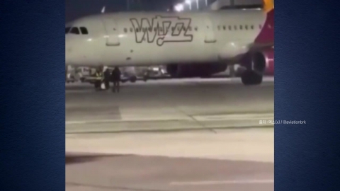 "나도 데려가!"…공항 활주로 난입한 남성들 체포