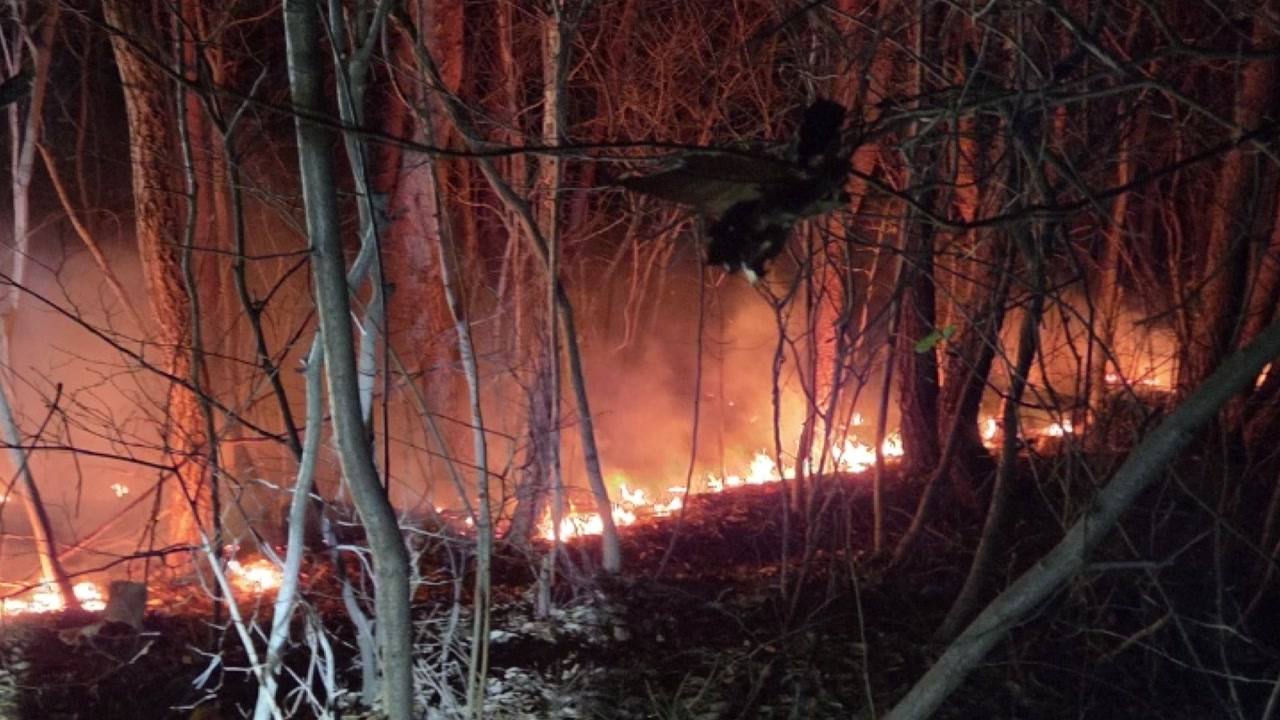 충남 태안에서 산불 잇따라...인명 피해 없어