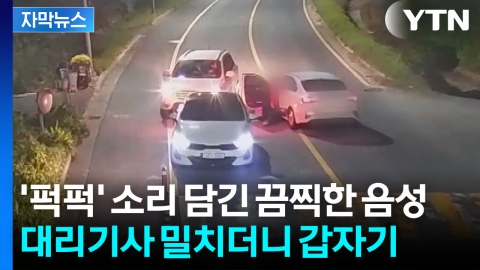 [자막뉴스] 안전띠에 몸 묶인 채로 질주...가슴 무너지는 CCTV 장면