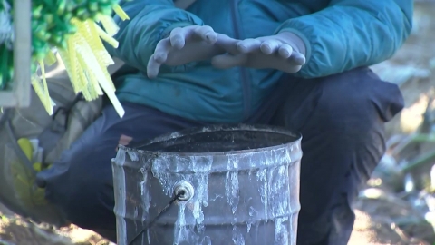 [날씨] 반짝 추위 뒤 온화한 주말…다음 주엔 \'동장군\' 온다