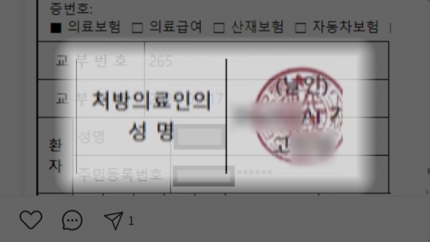 AI로 처방전 무단 발급…불법 사이트 운영자 검찰 송치