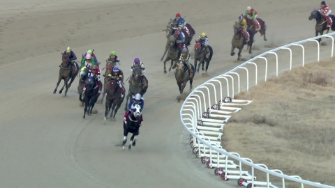 '3세 마' 클린원, 예상 깨고 그랑프리 경주 우승