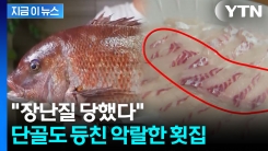 "요즘 이러면 골로갑니다"...전문가도 놀란 악랄한 횟집 [지금이뉴스] 