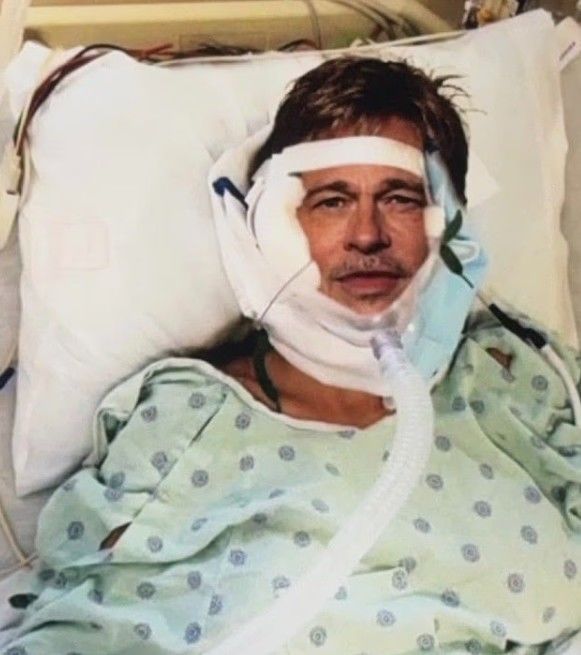 "사랑인 줄 믿었는데"...'가짜' 브래드 피트에 또 당했다