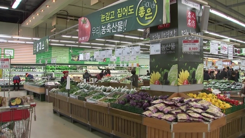 11월 소비자물가 2.4% 상승…농축수산물 5.6%↑·석유류 5.9%↑