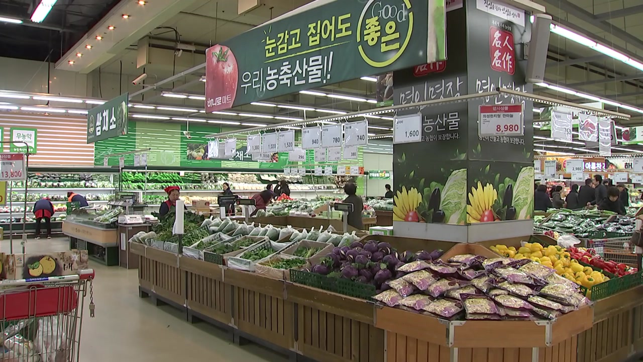 11월 소비자물가 2.4% 상승...농축수산물 5.6%↑·석유류 5.9%↑