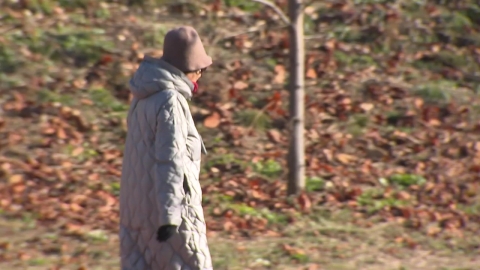 [날씨] 겨울 시작부터 한파에 눈 비상…서울 등 내륙  한파주의보