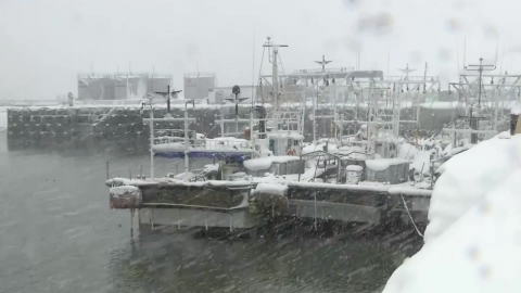 [날씨] 추위에 잠긴 여의도, 서울 체감 -13℃…전북·제주 산간 \'대설주의보\'