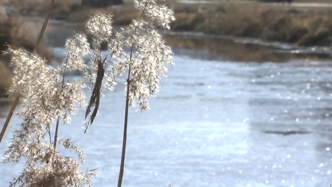 [날씨] 오늘 아침 중부 -10℃…낮부터 영상권, 퇴근길 첫눈 비상
