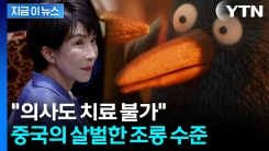 "말썽꾼 아줌마"...다카이치 조롱한 중국 애니메이션 화제 [지금이뉴스]