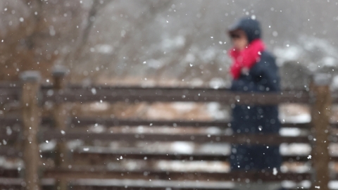  퇴근길 앞두고 경기 북부부터 첫눈 내리기 시작