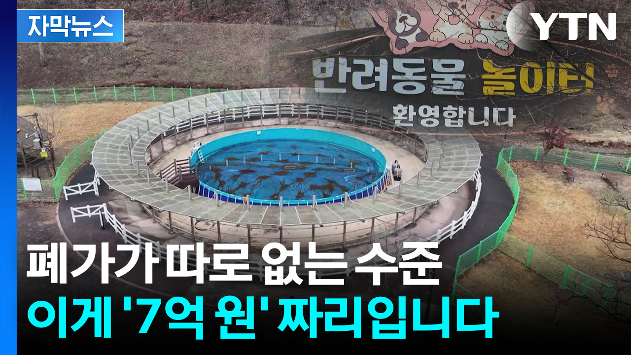 [자막뉴스] 피 같은 혈세 '수억 원' 부었는데...처참한 광경