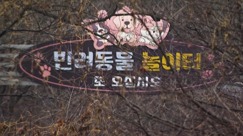 수억 원 들여 조성한 반려견 놀이터…반년 넘게 '개점휴업'