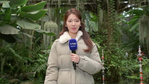 [날씨] 주말, 추위 점차 풀려…중부 중심 약한 비·눈