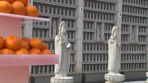 제철 맞은 향긋한 감귤…봉은사서 '감귤데이' 축제