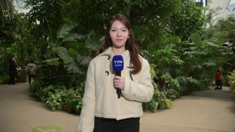 [날씨] 동장군 물러나고 추위 풀려…중부 중심 약한 비·눈