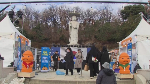 제주 감귤의 맛 그대로…봉은사서 \'감귤데이\' 축제