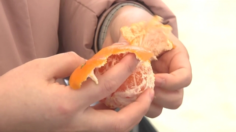 제주 감귤의 우수성 알린다…\'감귤데이\' 10주년