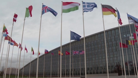 트럼프 '나토 발빼기' 시동…기로에선 국제 질서