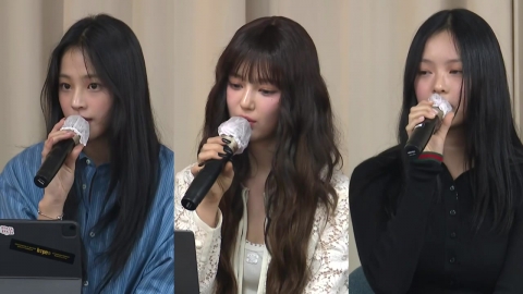 2인? 5인? 표류하는 뉴진스…민희진 "갈라치기"