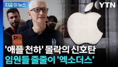 팀 쿡이 돈으로 붙잡아도 소용없다...절망적인 애플의 위기감 [지금이뉴스]