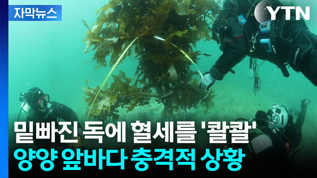 [자막뉴스] "시설 설치된 지 몇 달 만에"...피 같은 예산 버려지는 중