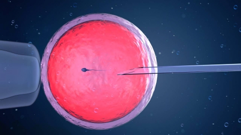 영화가 현실로...지능·키 예측한 배아 선별 '7천만 원' 