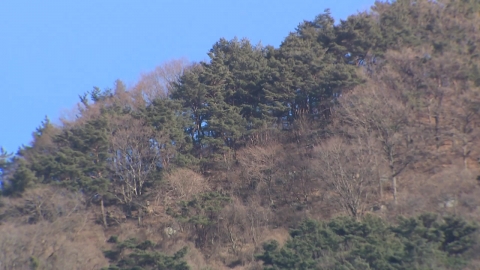 [날씨] 오늘 동해안·경남 산불 위험↑, 대형산불 조심…목요일 단비