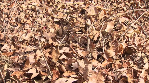 [날씨] 오늘 동해안·경남 산불 위험↑, 대형산불 조심…목요일 단비