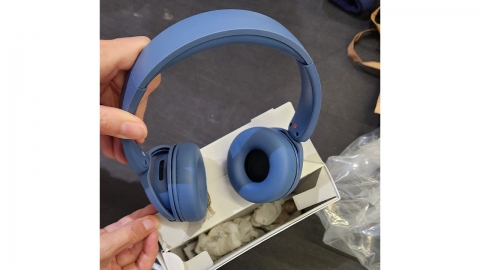 은밀한 부위에 마약 숨겨 밀반입한 네덜란드인 검거