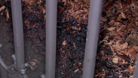 정치 상황에 불만?…국회 담벼락에 불 지른 남성 체포