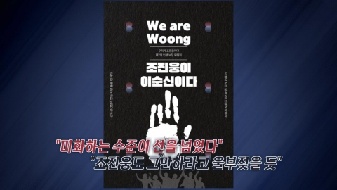 '조진웅이 이순신이다' 포스터 확산…"조진웅도 그만하라고 울부짖을 듯" [앵커리포트]